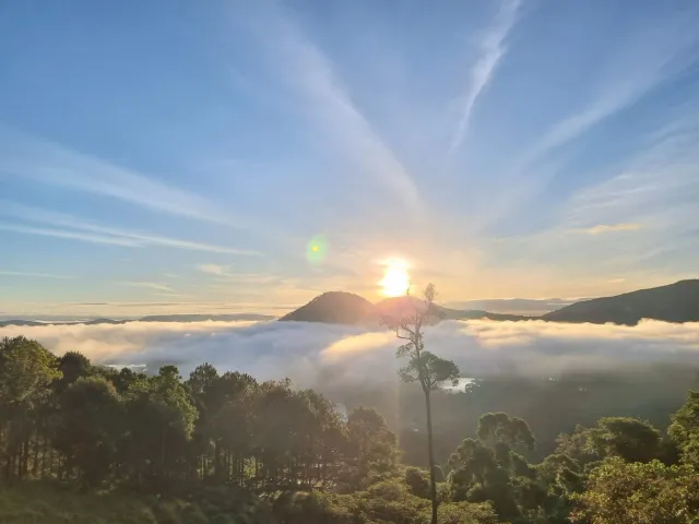 Sivananda Yoga Resort & Training Center photo 3