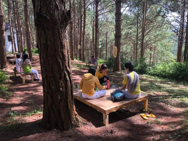 Sivananda Yoga Resort & Training Center photo 4
