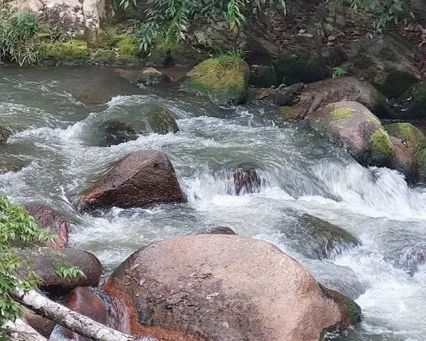 Pang Tieng Waterfall photo 4