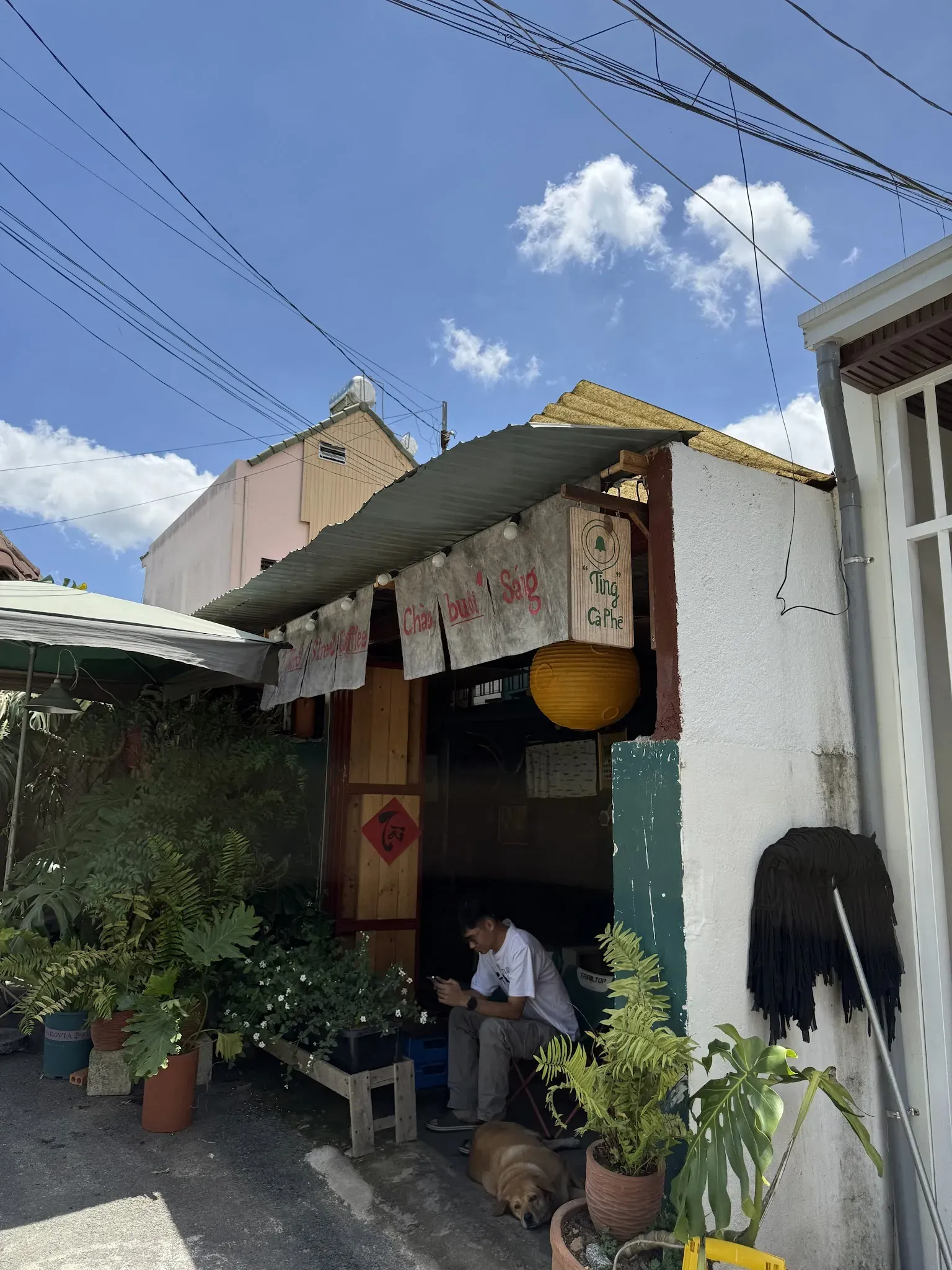 Ting Street Coffee photo 4