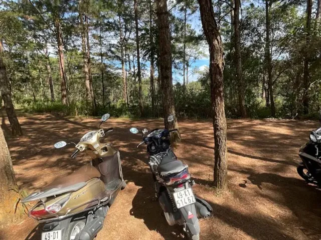 Motorbike Rental Da Lat | Thảo Vy Motorbike photo 4