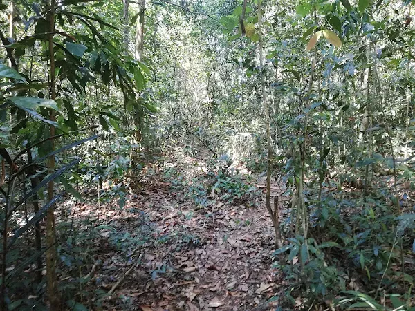 Pang Tieng Waterfall photo 2
