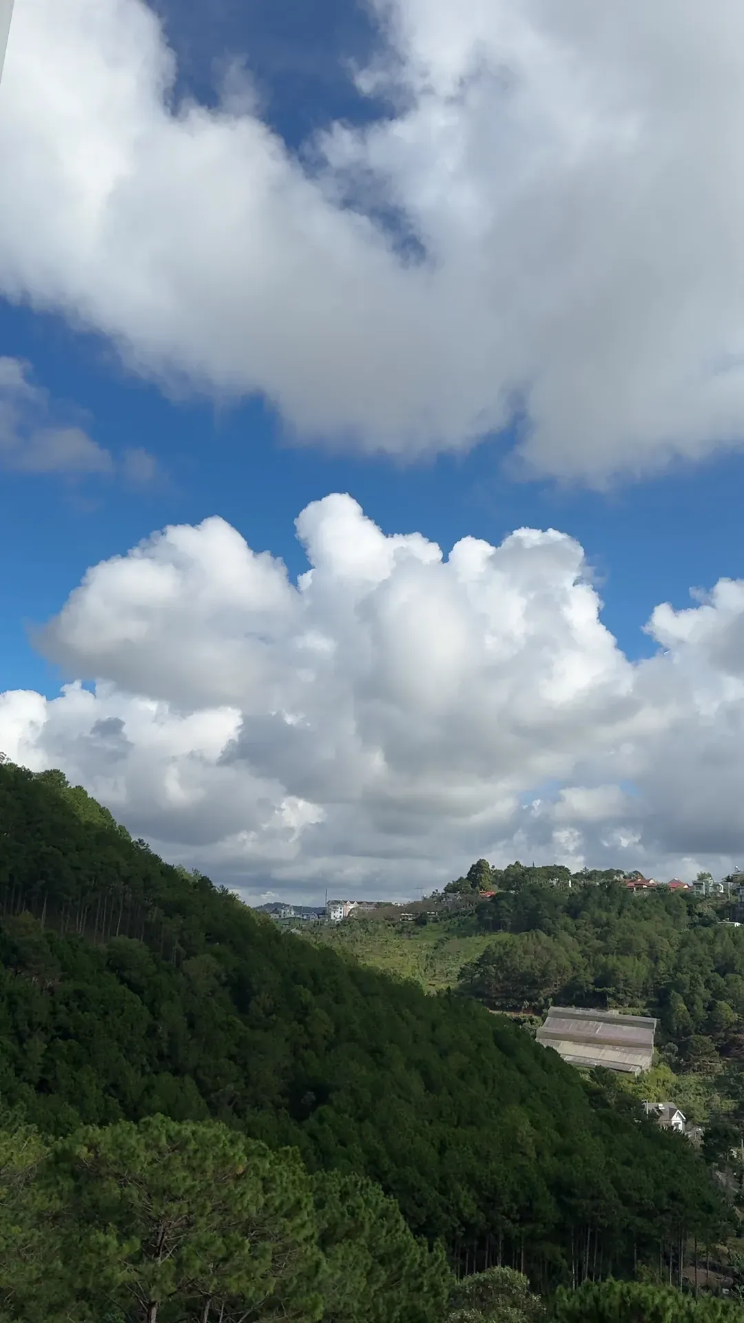 Motngoinha photo 2