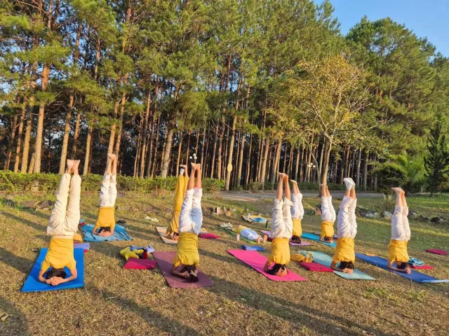 Sivananda Yoga Resort & Training Center photo 5